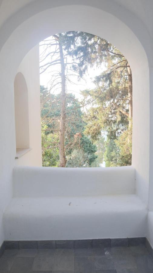 Villa Enrica Capri Bagian luar foto