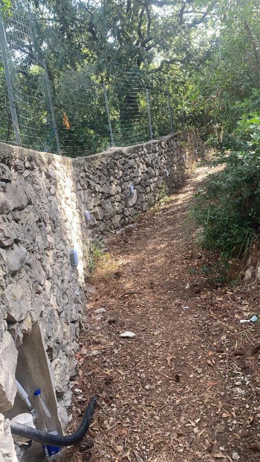 Villa Enrica Capri Bagian luar foto