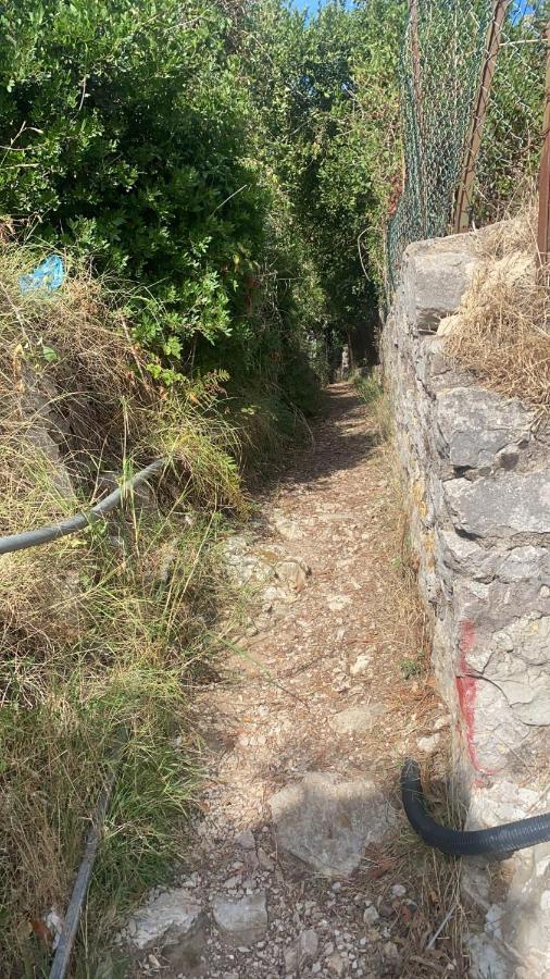 Villa Enrica Capri Bagian luar foto